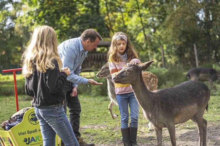 Den Wildpark Müden (Örtze) besuchen Wildpark Müden
