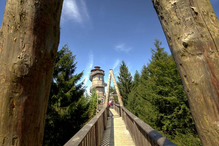 Den Baumkronenweg in Kopfing laufen Baumkronenweg Kopfing