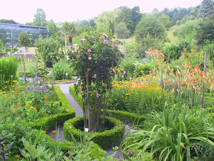 Botanischer Garten Würzburg