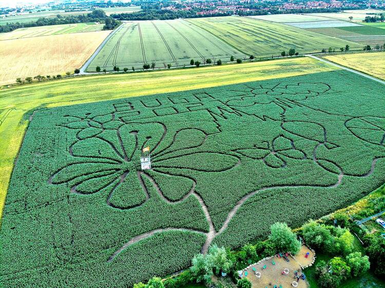 Maislabyrinth Erfurt