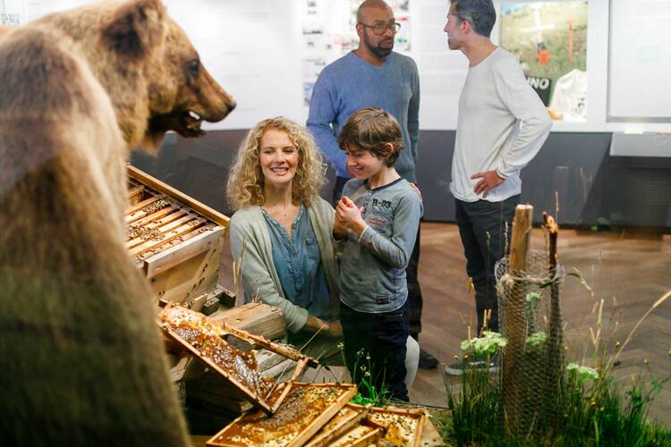 Ins Museum Mensch und Natur gehen Museum Mensch und Natur München