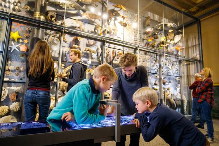 Das Museum für Naturkunde in Berlin besuchen und Knut, den Eisbären wiedersehen Museum für Naturkunde Berlin