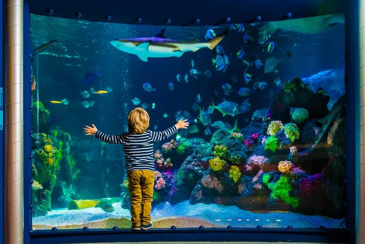 Ins SEA LIFE München SEA LIFE München