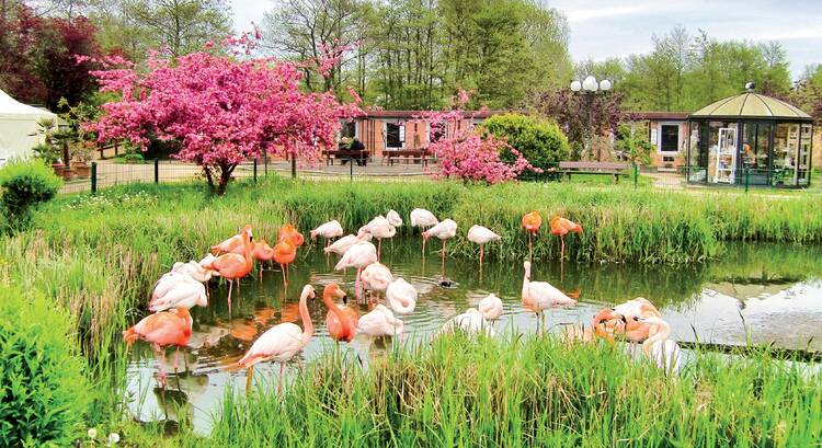 Vogelpark Niendorf