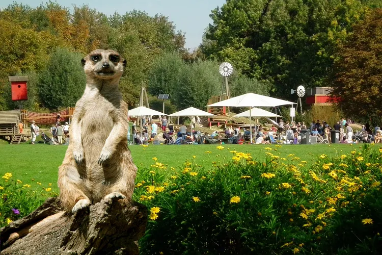 Brückenkopf-Park Jülich