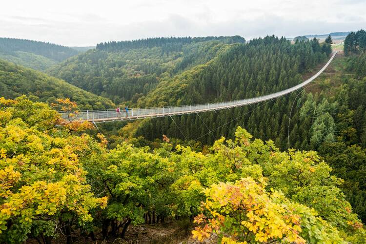 Hängeseilbrücke Geierlay