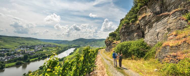 Moselsteig Wandern