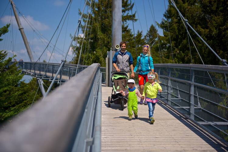 Baumwipfelpfad Waldwelt Skywalk Allgäu