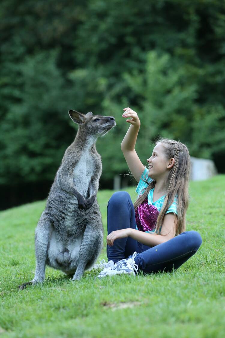 Tierpark Bretten