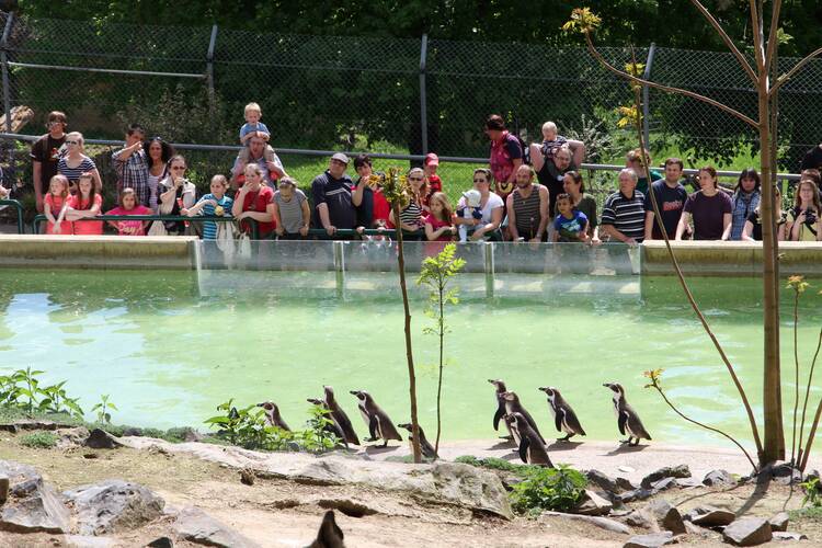 Ein Ausflug in den Zoo Neuwied Zoo Neuwied