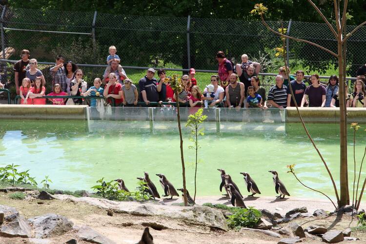 Zoo Neuwied