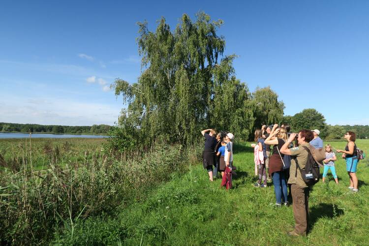 Den Müritz-Nationalpark erkunden Müritz-Nationalpark