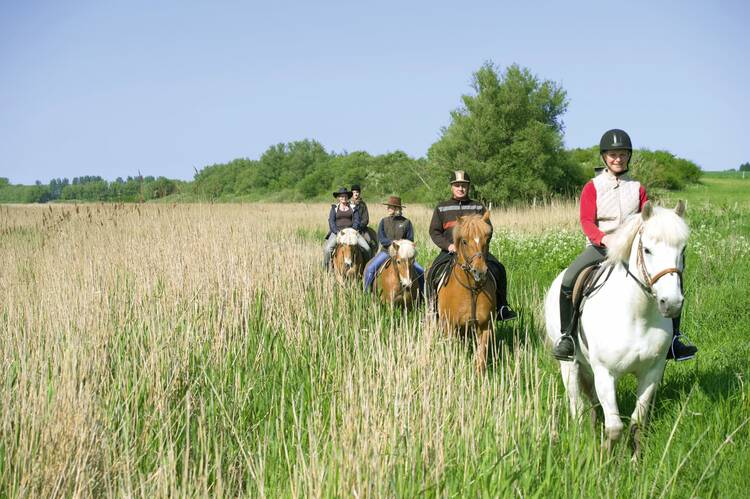 Reiten auf dem Darß und die Weite und Freiheit genießen Reiten Darß