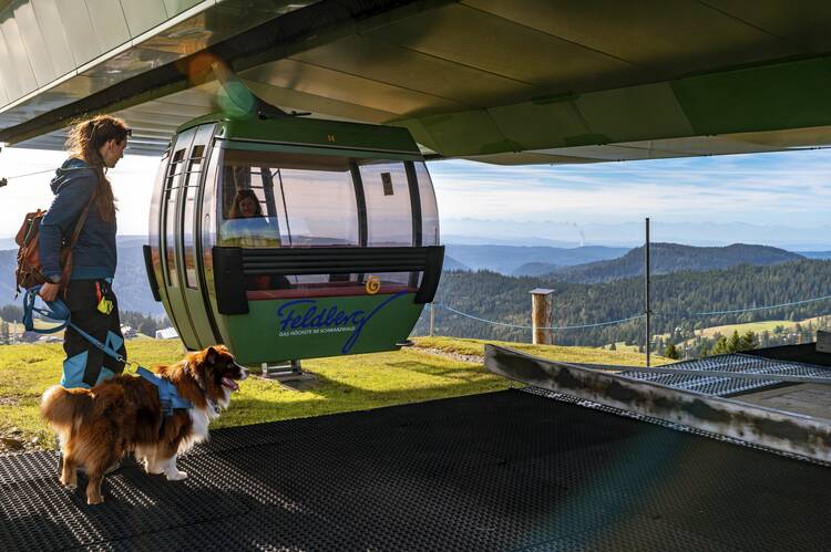 Urlaub im Schwarzwald mit Hund Urlaub Schwarzwald Hund
