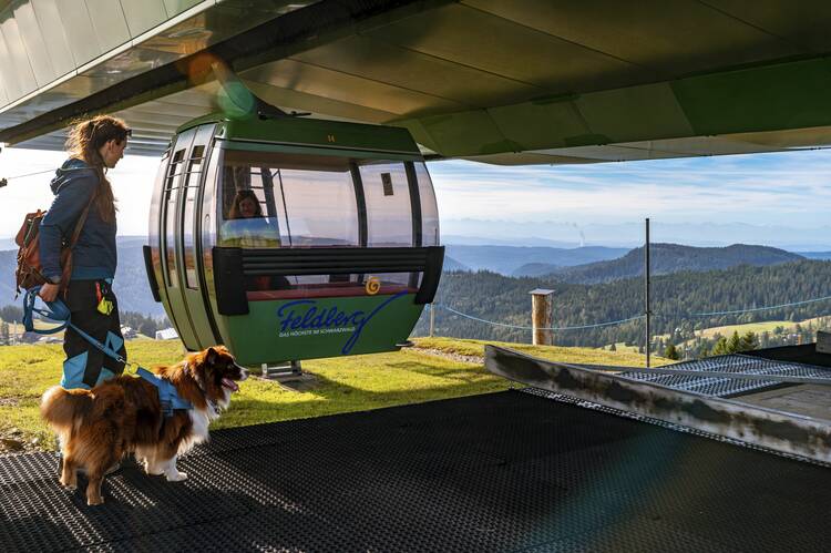 Urlaub Schwarzwald Hund