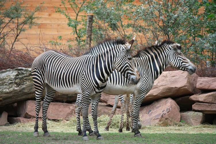 Magdeburg Zoo