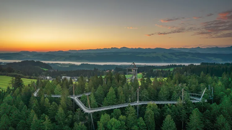 Waldwelt Skywalk Allgäu
