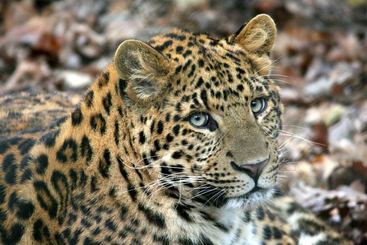 Tierpark Hagenbeck Hamburg