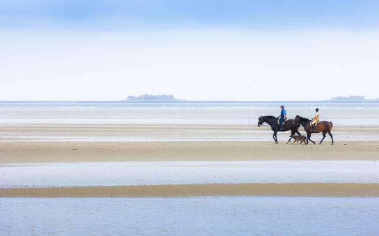 Föhr Reiten