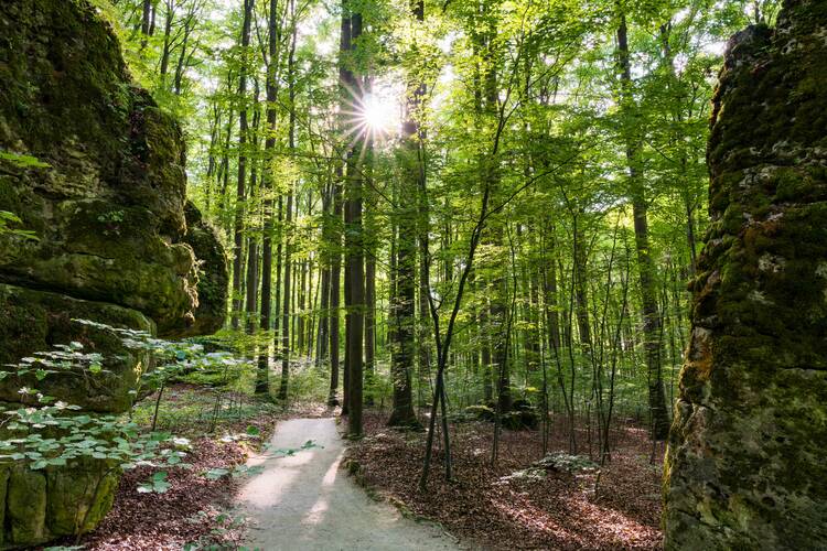 Natur Fränkische Schweiz