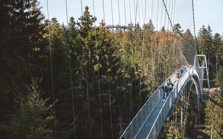 Hängebrücke Bad Wildbad 