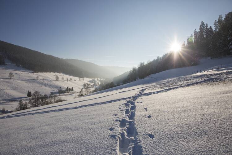 Nationalpark Schwarzwald Winter