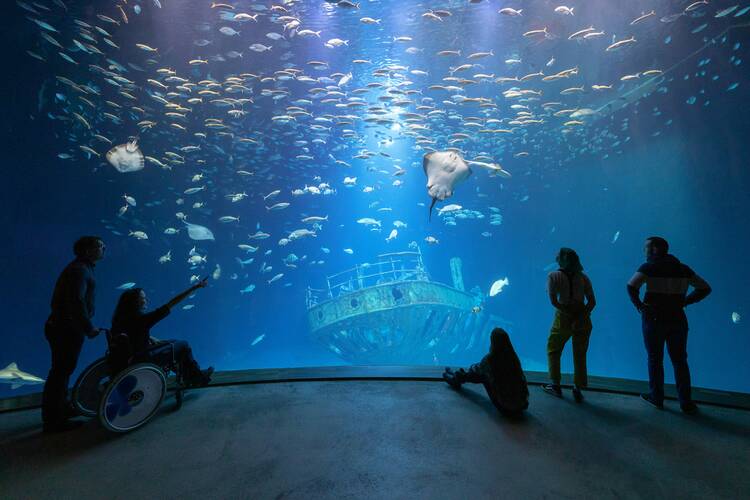 Ozeaneum Stralsund