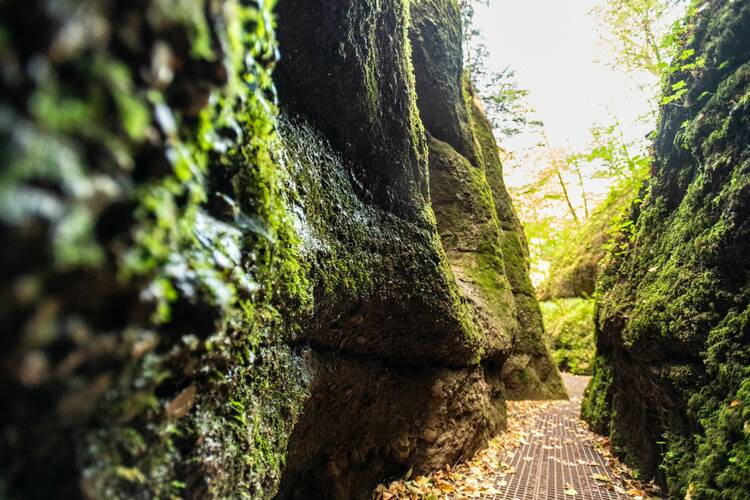 Drachenschlucht Eisenach