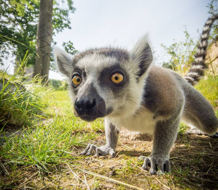 Tierpark Bochum