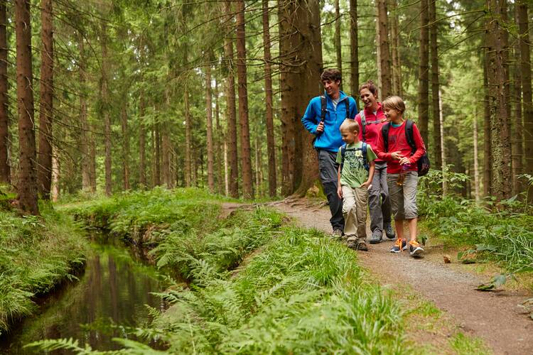 Harz Wandern Familie