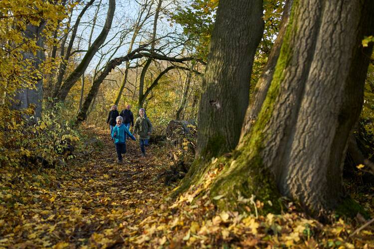 Nationalpark Hainich