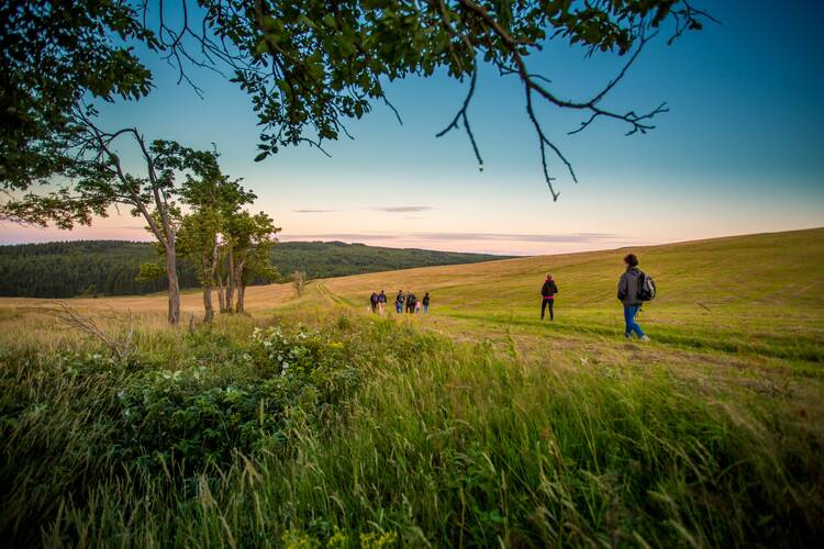 Wandern Erzgebirge Kinder