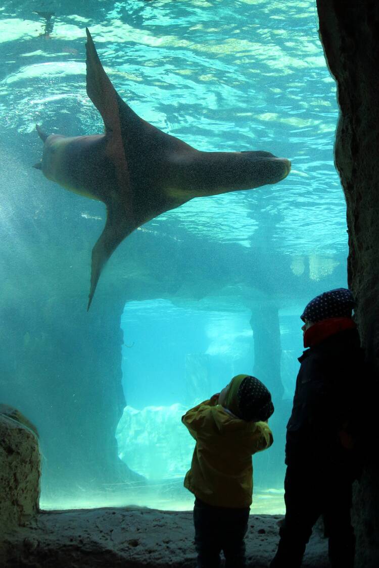 Zoo am Meer Bremerhaven