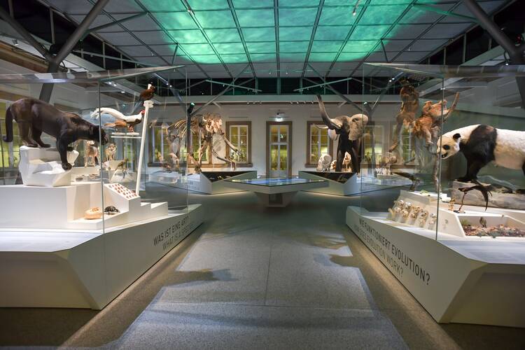 Naturkundemuseum Stuttgart