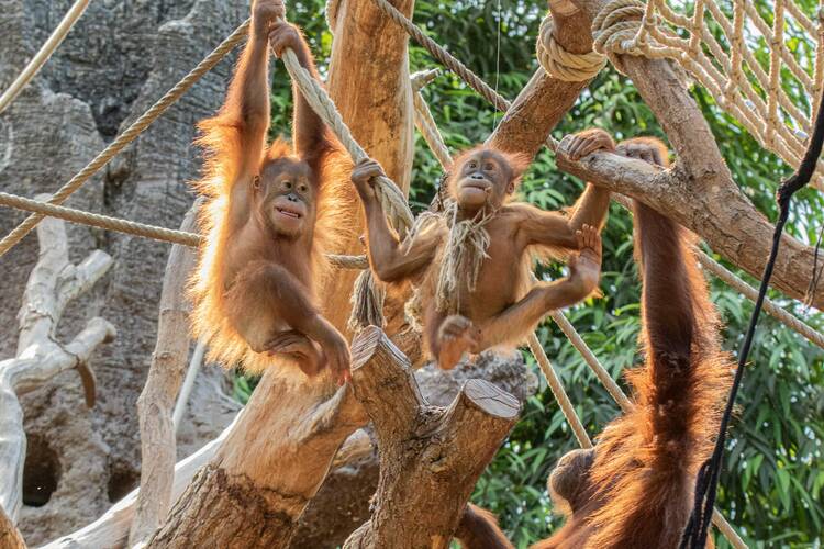 Tierpark Hagenbeck Hamburg