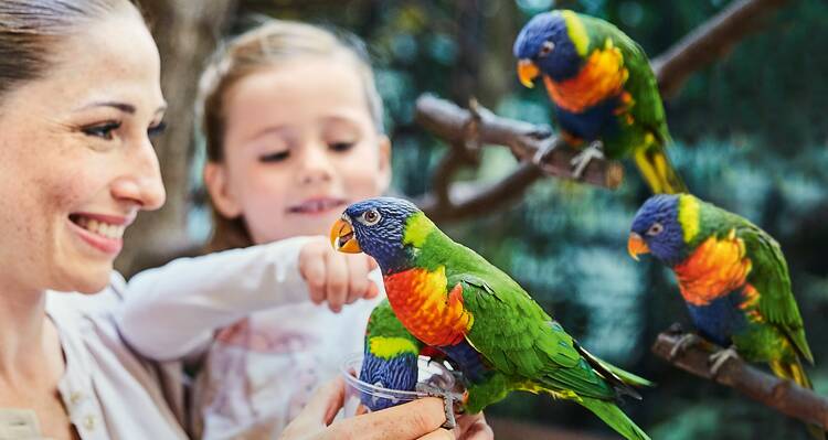 Vogelpark Walsrode