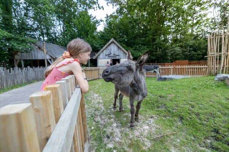 Gaia Zoo Kerkrade