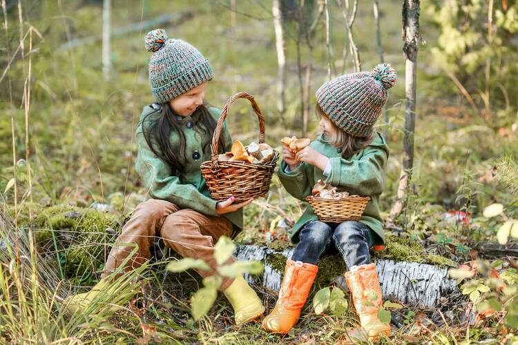 Pilze sammeln Kinder