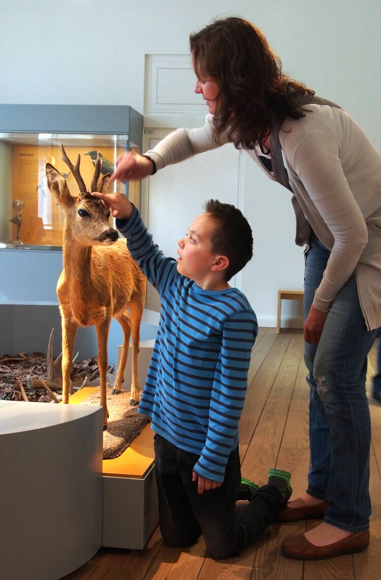 Naturwissenschaftliches Museum Flensburg