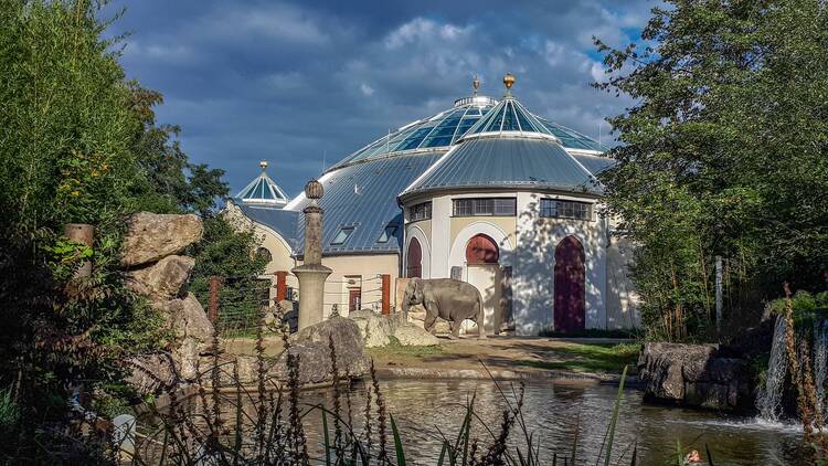 Tierpark Hellabrunn München