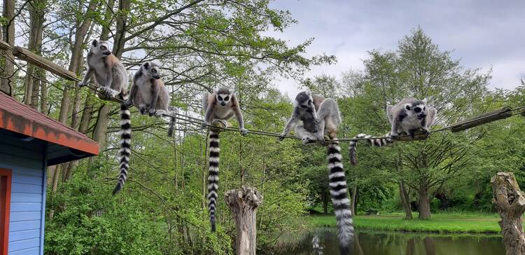 Tierpark Wismar