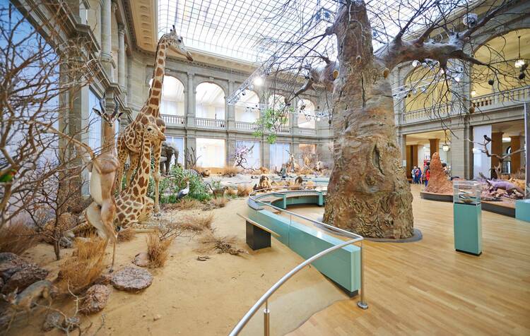 Museum Koenig Bonn
