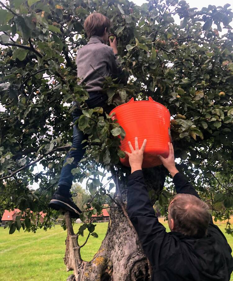 Obst-Jagd