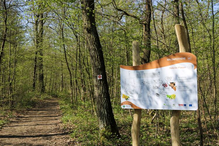 Erlebnispfad "WaldPfad Schlauer Ux"
