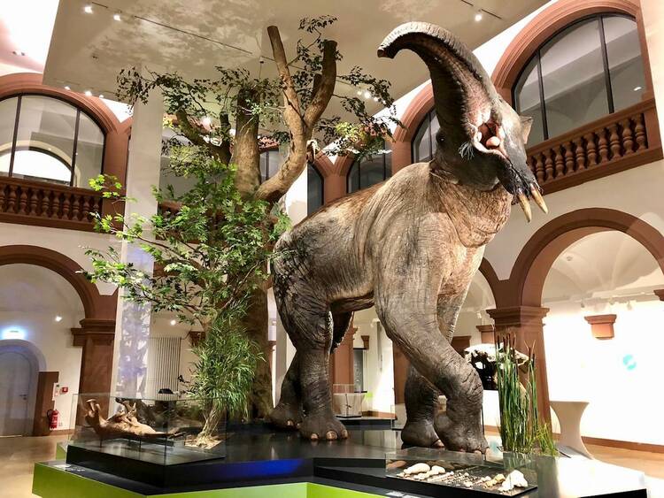 Naturhistorisches Museum Mainz