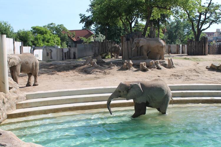 Bergzoo Halle