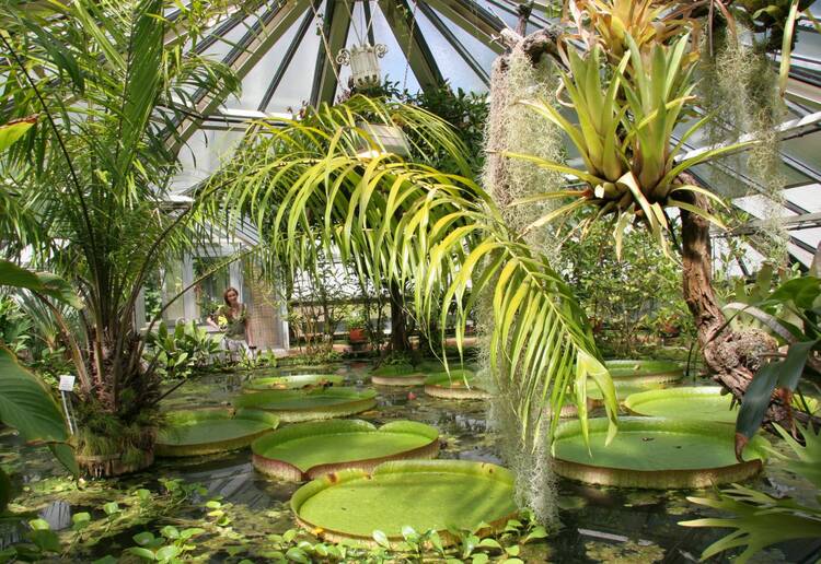 Botanischer Garten Halle
