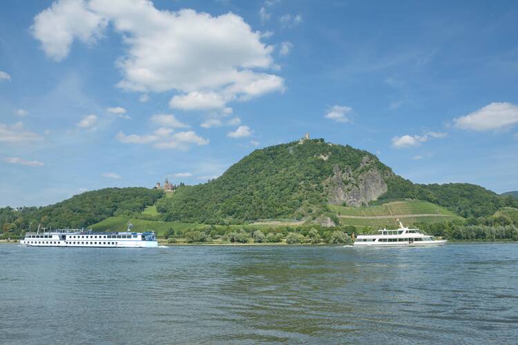 Drachenfels Königswinter