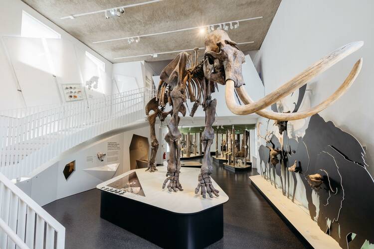 Geomuseum Münster
