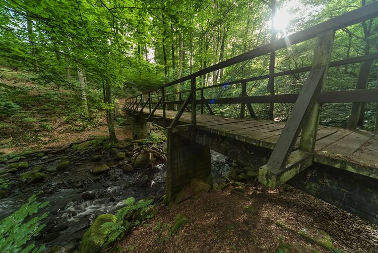 Holzbachschlucht Westerwald